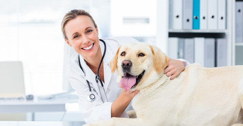 Exercícios sobre tipos de respiração dos animais mulher com cachorro