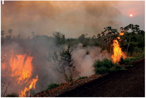 Ocorrência de queimada no Pantanal