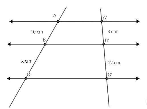 Congruência de ângulos formados por um feixe de retas paralelas e uma reta  transversal - Planos de aula - 7º ano