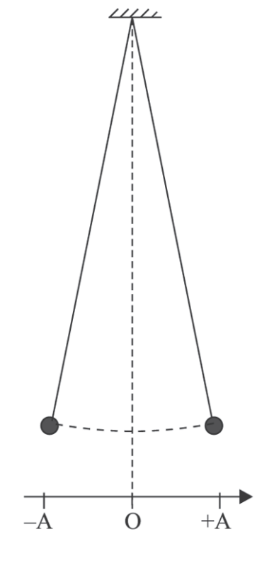 Ilustração de um pêndulo simples sendo usado em um experimento sobre movimento harmônico simples em uma questão da Unifesp.
