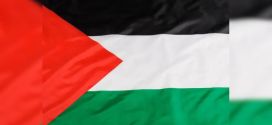Questão Palestina