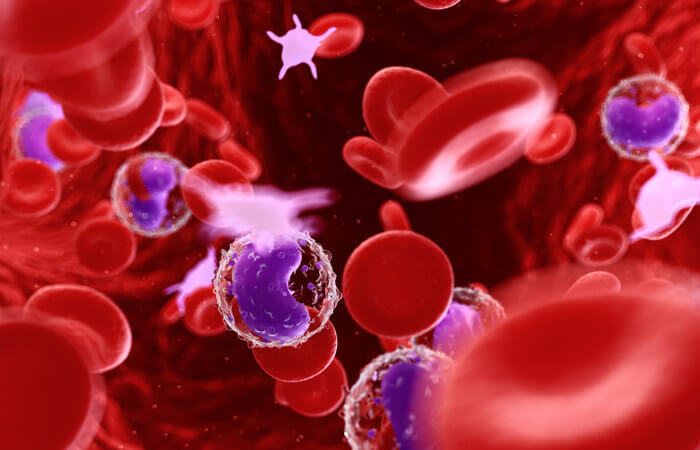No sangue, observamos a presença de hemácias, leucócitos e plaquetas suspensas no plasma.