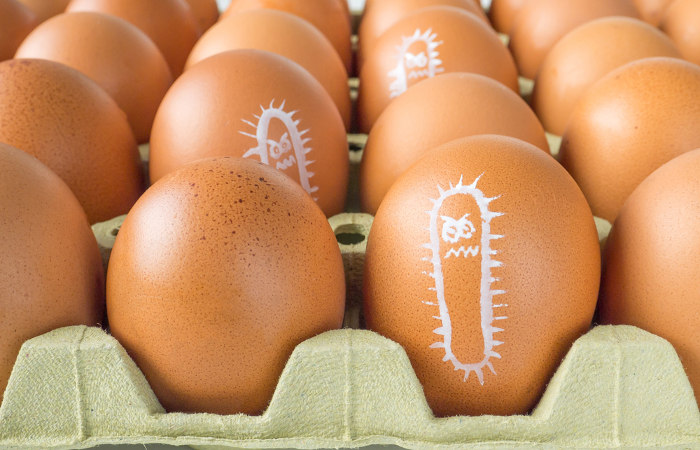 Alimentos ricos em proteínas, como ovos, são importantes locais de desenvolvimento da bactéria Salmonella.