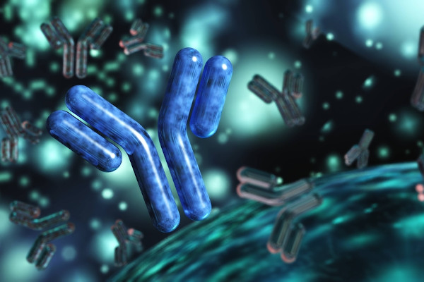 Os anticorpos são produzidos por células especiais do nosso sistema imune e atuam na defesa do nosso organismo.