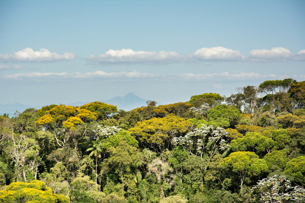 Clima tropical de altitude: aspectos gerais - Mundo Educação