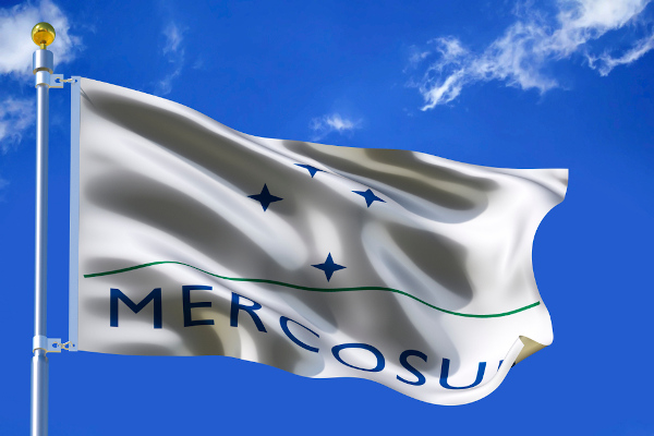 A bandeira do Mercosul possui quatro estrelas, que representam seus membros fundadores: Brasil, Paraguai, Argentina e Uruguai.