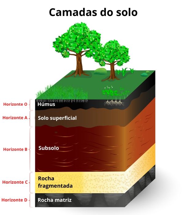 🔹 Resumo de geografia sobre degradação do solo. . . . Nem iria ter post ...