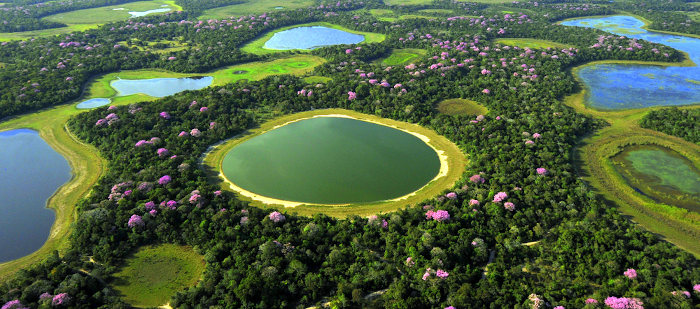 O Pantanal é um bioma brasileiro localizado na região Centro-Oeste. Constitui-se como uma planície inundável que possui uma elevada biodiversidade.