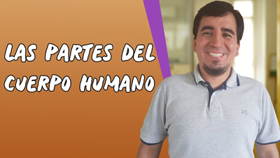 Las Partes del Cuerpo Humano Videoaula Brasil Escola