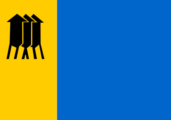 Bandeira de Porto Velho.