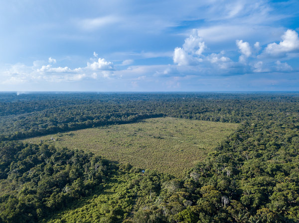 observe a imagem a)qual é o problema ambiental que está ocorrendo nesse  local ? b)qual é a consequência 