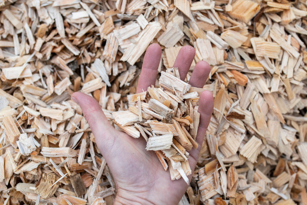 A biomassa utiliza elementos orgânicos para a geração de energia.