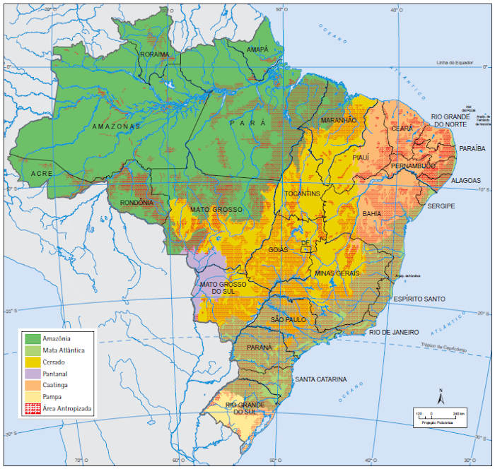 A vegetação brasileira: tipos, características e mapa