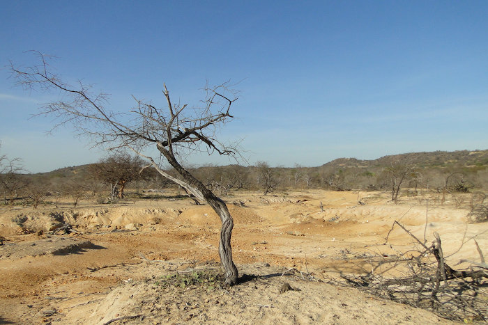 Vista de paisagem da Caatinga