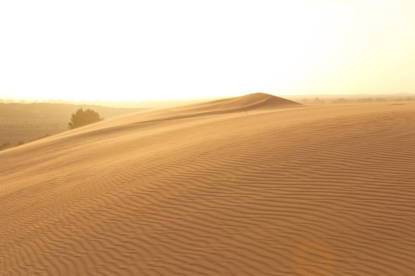 As dunas são formações características dos desertos.