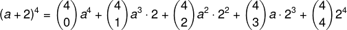 Cálculo de (a + 2)4 por meio de binômio de Newton