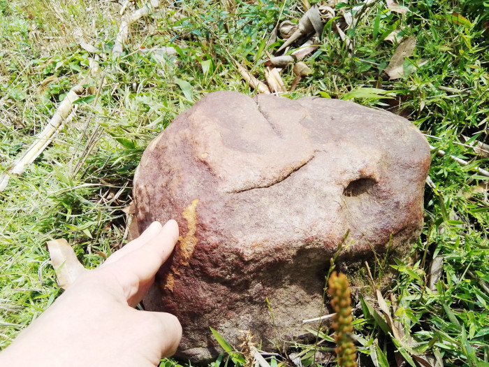 Meteorito achado em fazenda no Brasil