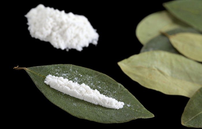 Folhas de coca e cloridrato de cocaína em pó, em fundo escuro