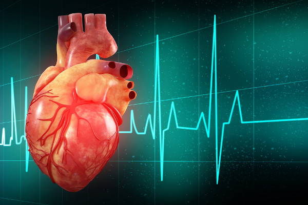 Coração humano e batimentos cardíacos