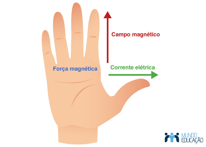 Representação de como é a distribuição dos componentes da força magnética na regra do tapa.