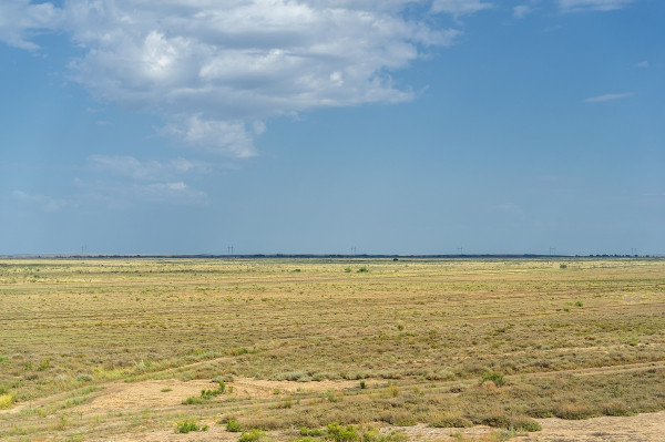 Área da Patagônia argentina coberta pela vegetação do tipo estepe.