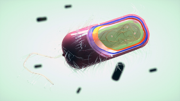 Ilustração de uma célula procarionte em evidência no primeiro plano, ao fundo, mais células procariontes