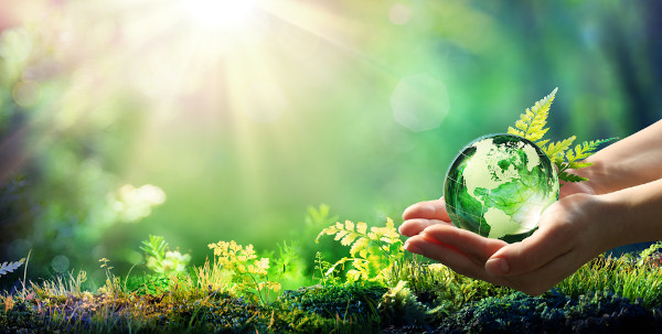 Vista aproximada das mãos de uma pessoa segurando um globo de vidro em um ambiente de vegetação.