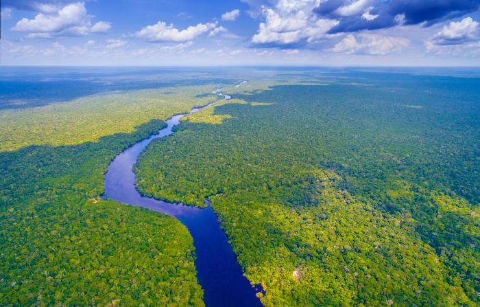 Vista aérea do Rio Amazonas na Floresta Amazônica.