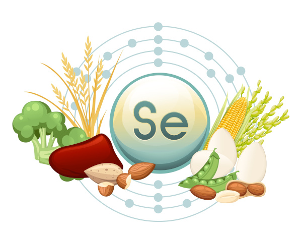 Ilustração traz o símbolo do elemento selênio rodeado por alimentos ricos nesse elemento.