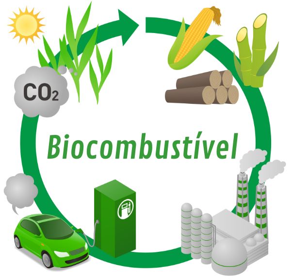 Ilustração do ciclo dos biocombustíveis.