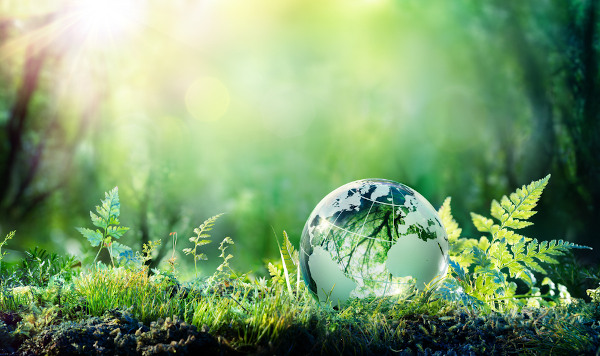 Globo terrestre em um ambiente vegetacional representando a ideia de Geografia Física.