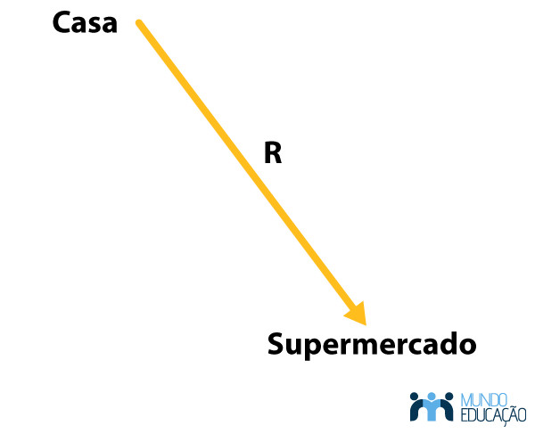 Representação de um vetor com direção diagonal e sentido sudeste.