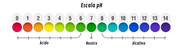 Escala de pH indicando a região ácida entre valor de pH de zero a sete e região básica representada por valores de pH de oito a 14.