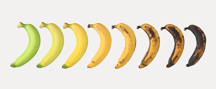 Estágios de amadurecimento da banana.
