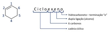Representação do funcionamento da nomenclatura do cicloexeno.