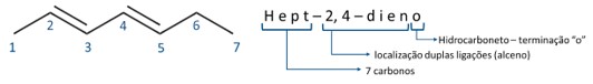 Representação do funcionamento da nomenclatura do hept-2,4-dieno.