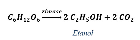 Esquema da reação da conversão da glicose em etanol e dióxido de carbono