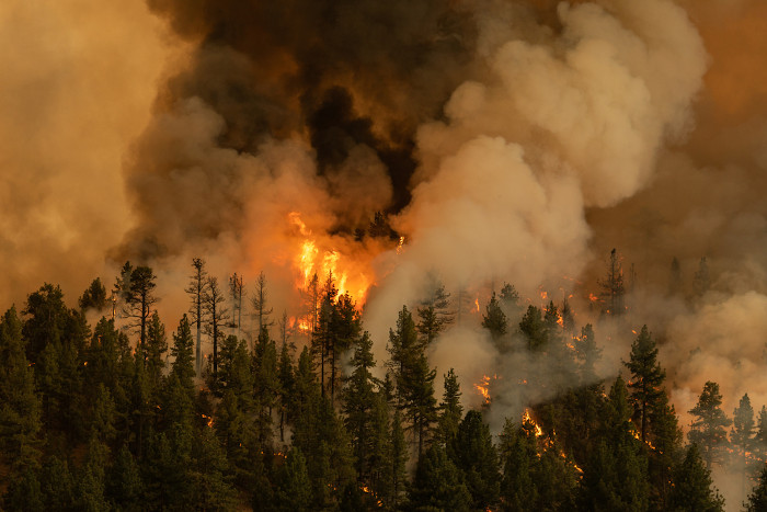 Incêndio florestal na Califórnia, Estados Unidos.