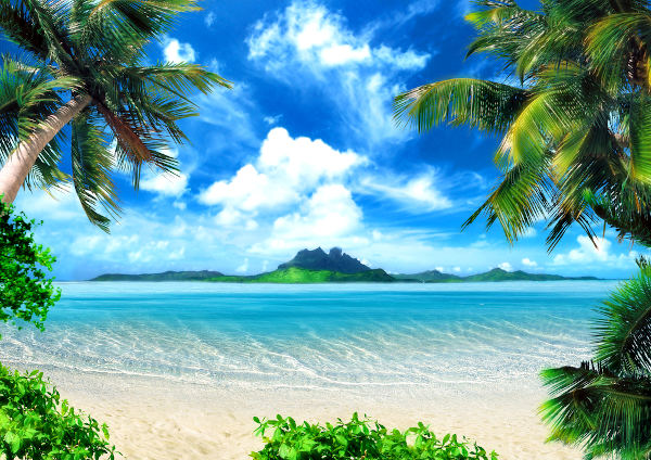 Praia, céu azul e árvores: paisagem típica do clima tropical.