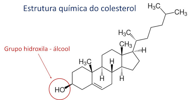 Estrutura química do colesterol, um dos principais álcoois.
