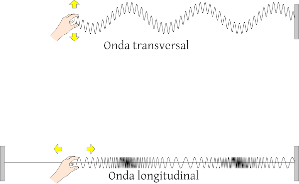 Esquema ilustrativo de ondas longitudinais e transversais
