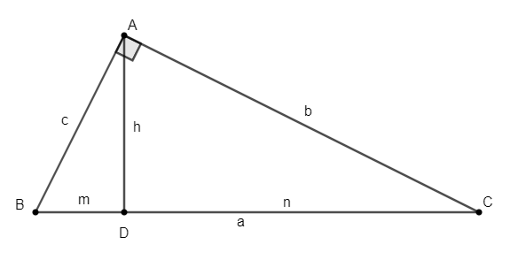 teorema-de-pitagoras-questionário - Álgebra