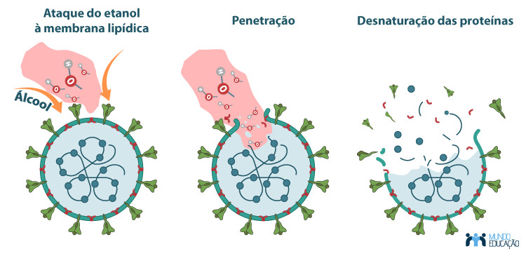Mecanismo de ação do etanol contra vírus envelopados, como o coronavírus.