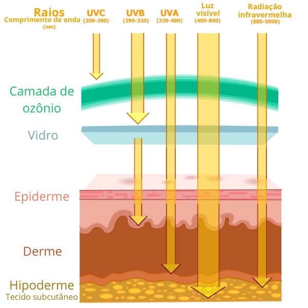 Esquema ilustrativo da capacidade de penetração da radiação UV, luz visível e radiação infravermelha na camada de ozônio, no vidro e na pele humana.
