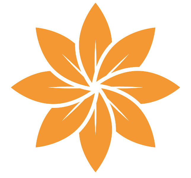 Representação de uma flor obtida pela simetria de rotação de uma de suas pétalas.