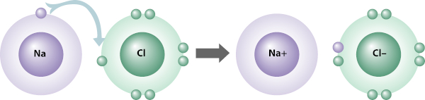  Representação da formação da ligação iônica no sal (NaCl), um exemplo de ligação química que se difere da ligação covalente.