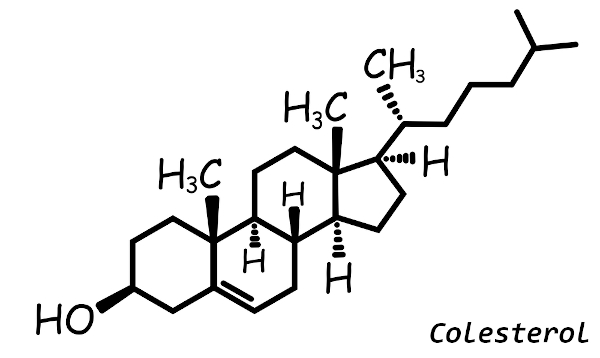Molécula do colesterol, uma das milhares de moléculas formadas por ligações covalentes.