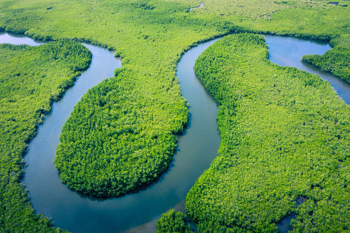 Vista superior do rio Amazonas, que faz parte de uma das principais bacias hidrográficas do mundo, a bacia Amazônica.