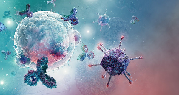 Representação de glóbulos brancos e anticorpos, componentes do sistema imunológico.