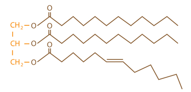 Estrutura química do triglicerídeo (gordura), cadeia carbônica formada por vários átomos de carbono, hidrogênio e oxigênio.